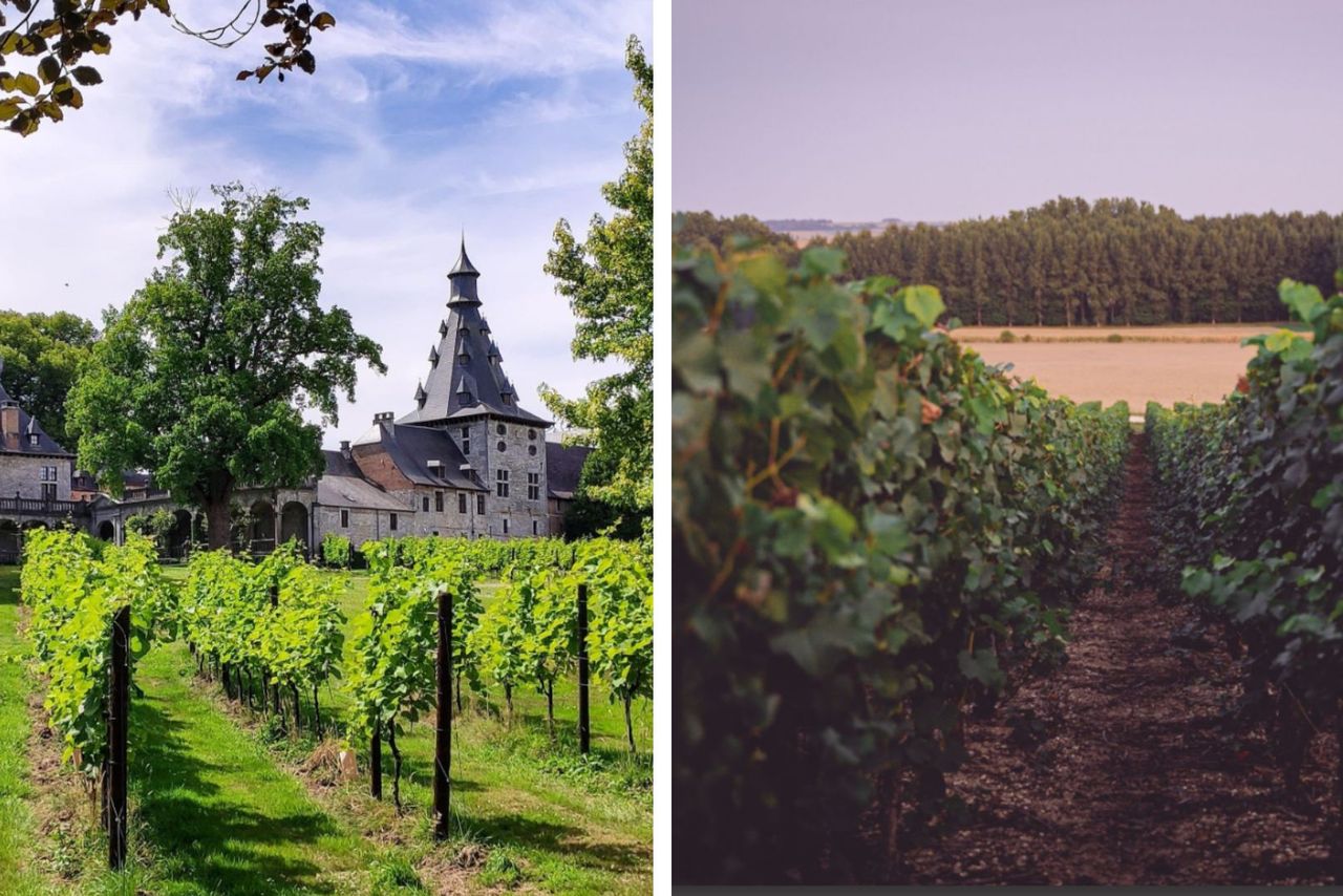 2 lieux d’exception pour un team building unique dans les vignobles en Belgique