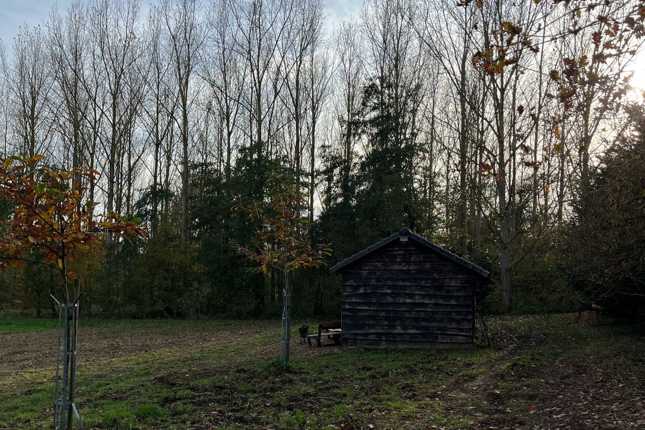 La Clairière